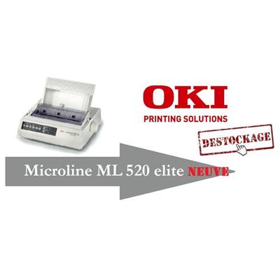 ML520 Déstockage